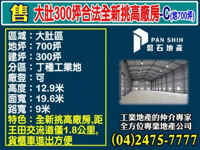 大肚300坪合法全新挑高廠房-C(地700坪),台中市大肚區廠房出售